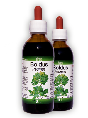 BOLDO Peumus • 50 / 150 ml