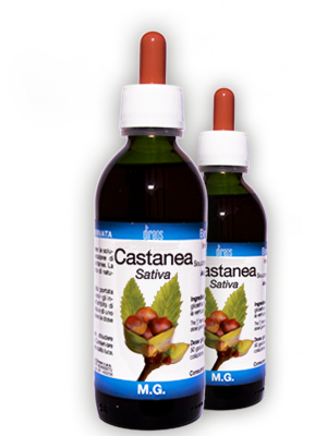 CASTANEA Sativa • 50 / 150 ml
