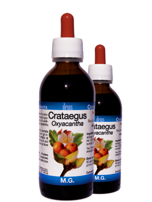 CRATAEGUS Oxyacantha M.G. • 50 / 150 ml