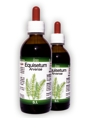 EQUISETUM Arvense T.M. • 50 / 150 ml