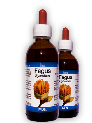 FAGUS Sylvatica M.G. • 50 / 150 ml