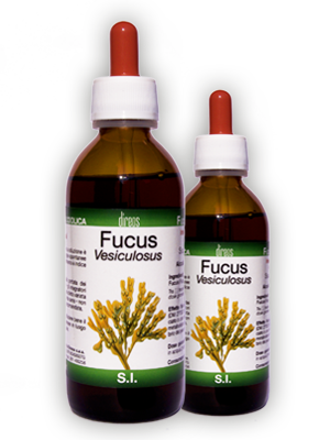 FUCUS Vesiculosus T.M. • 50 / 150 ml