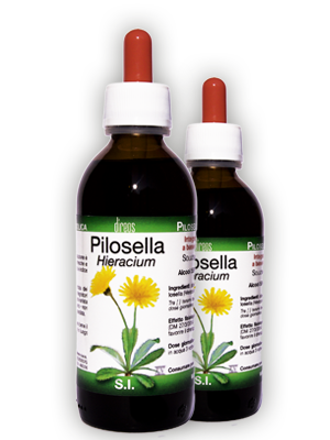 PILOSELLA Hieracium T.M. • 50 / 150 ml