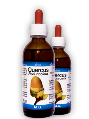 QUERCUS Peduncolata M.G. • 50 / 150 ml