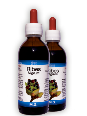 RIBES Nigrum • 50 / 150 ml