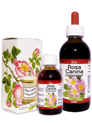 ROSA CANINA compositum • 50 / 150 ml